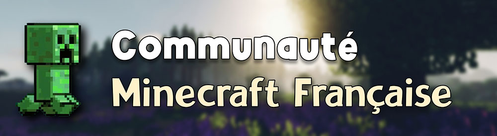 Communauté Minecraft France